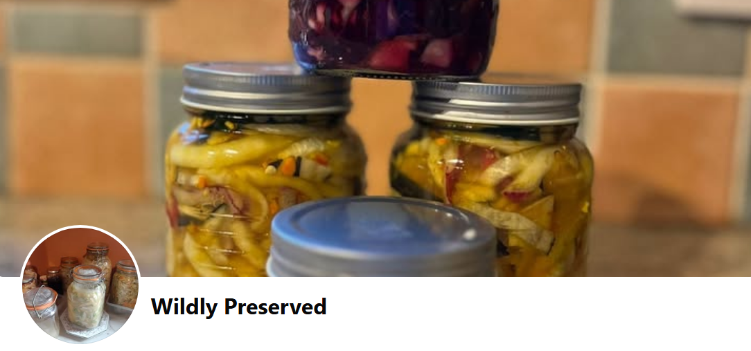 Talk and Taste Fermented Foods